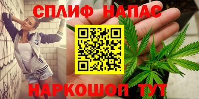 Альфа ПВП Новозыбков