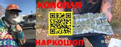 Альфа ПВП Новозыбков