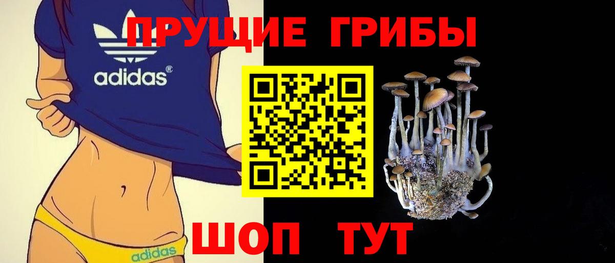 Северобайкальск  Псилоцибиновые грибы ЛСД  Вход с VPN 