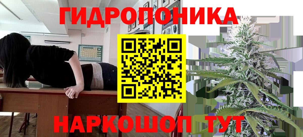 Каннабис марихуана  Бошки марихуана семена  Вход с VPN  Северобайкальск 